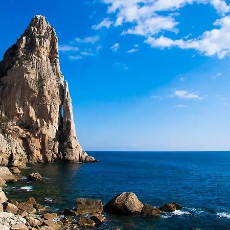 Paradise * 토르톨리
