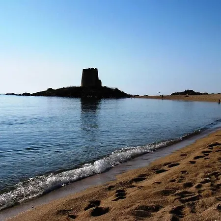 Paradise 펜션