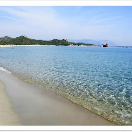 Paradise * 토르톨리